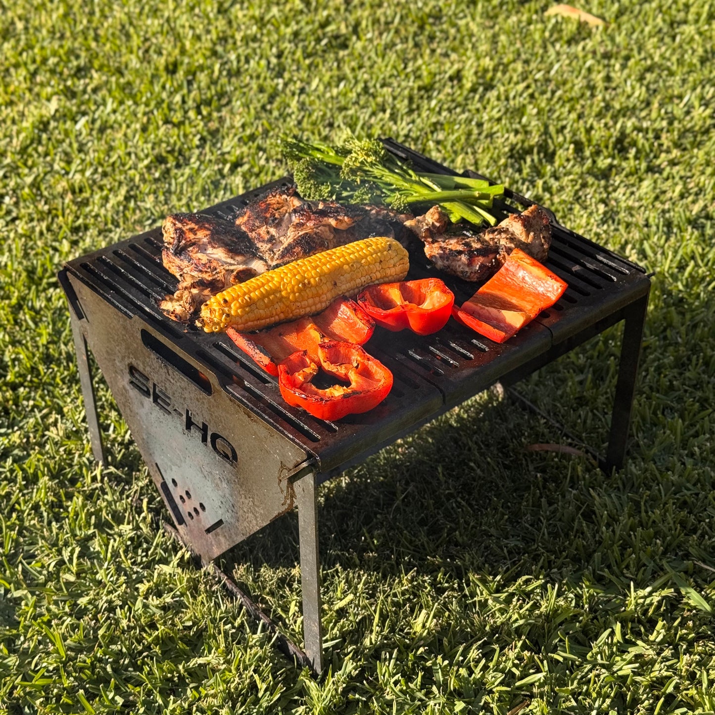 Campfire BBQ Grill / Fire Pit / Braai